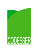 -_Logo CODESSER